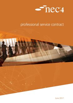 Professional Service Contract