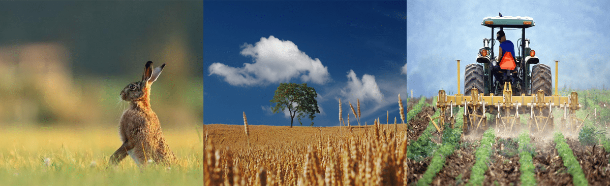 Northamptonshire rural crime