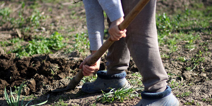 New campaign to target forced labour in Lincolnshire