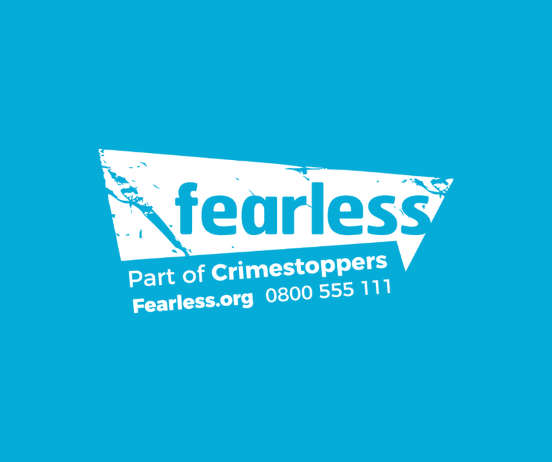 Fearless logo - white/transparent
