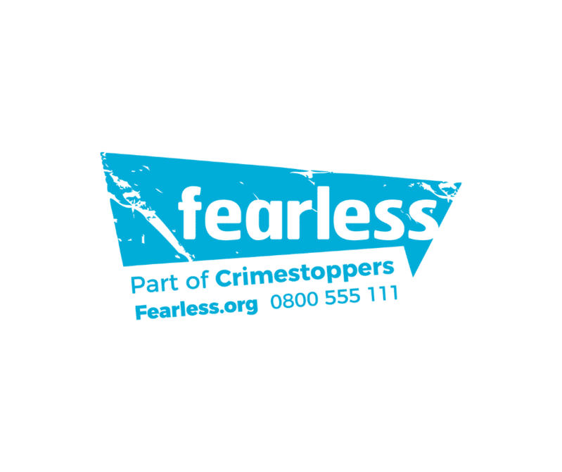 Fearless logo - blue