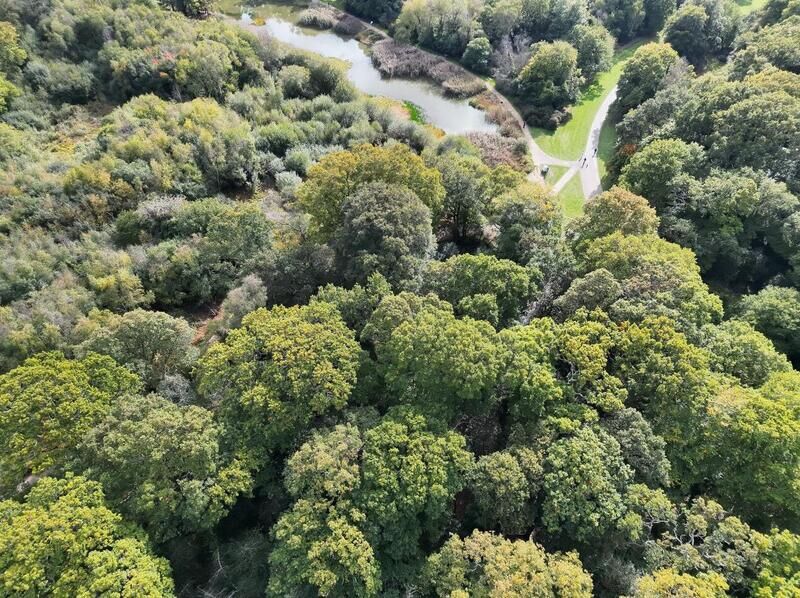 Southampton Common murder - £20,000 reward on offer for information