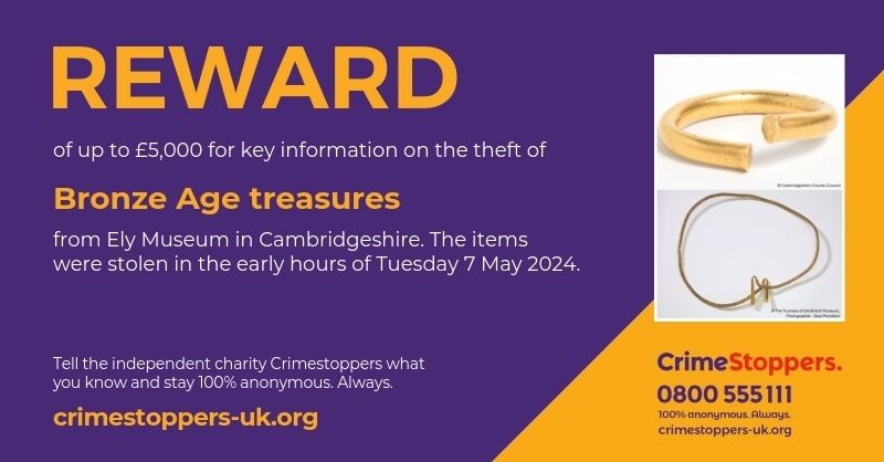 £5,000 reward offered after devastating theft of Bronze Age treasures 