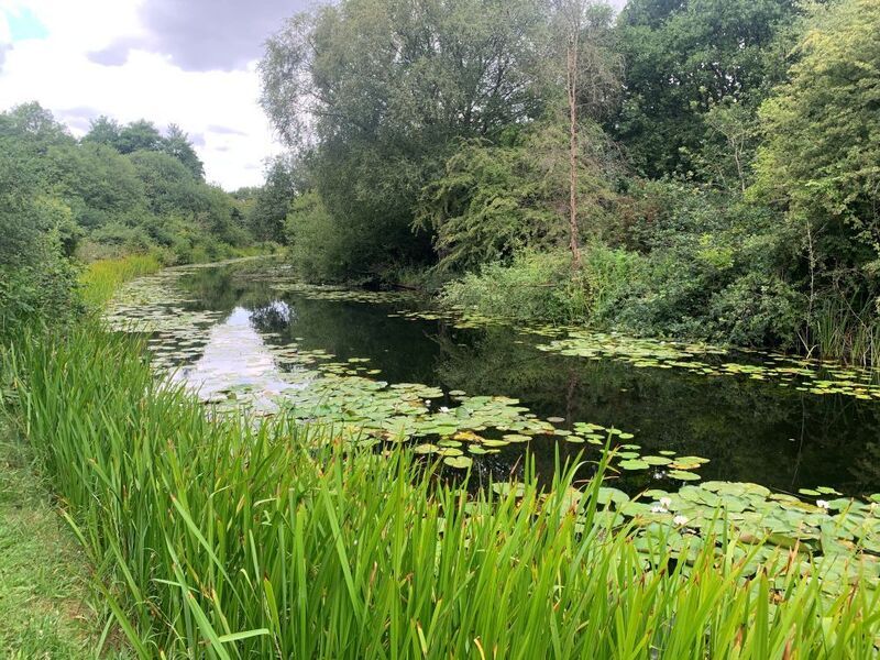 £10,000 reward offered for information in West Midlands newborn baby murder investigation