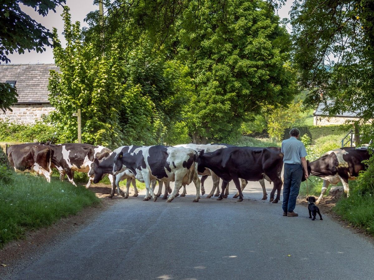 Crime in rural Gloucestershire