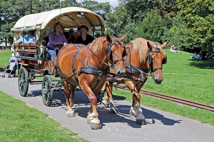 Our campaign to help reduce crime in build-up to Appleby Horse Fair, Cumbria