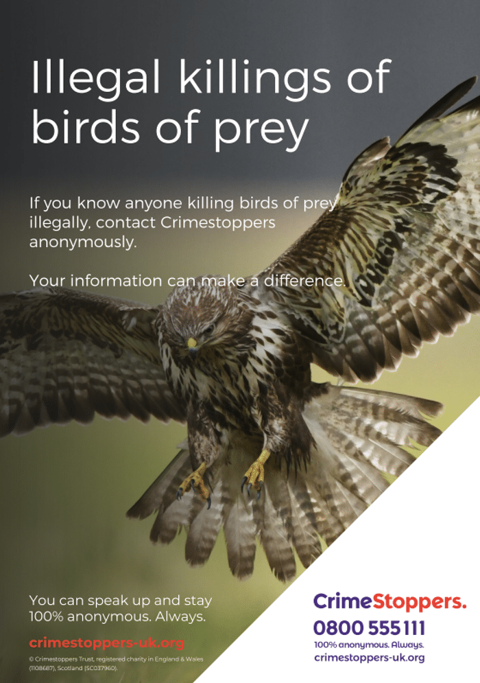 Yorkshire: We ask for anonymous information in drive to protect precious birds of prey