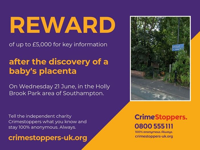 £5,000 reward over discovery of baby’s placenta in Southampton