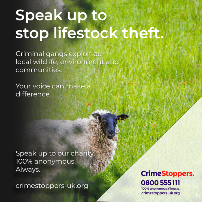 First ever Crimestoppers cross-border rural crime campaign launched