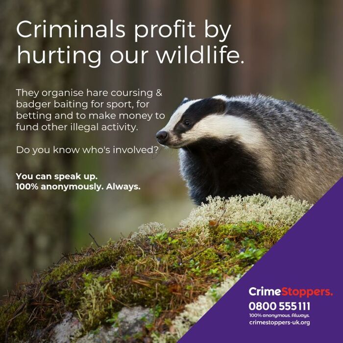 Spotlight on rising harm to wildlife - we urge people to speak up