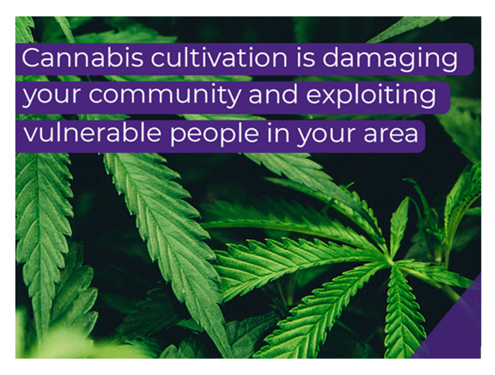 Campaign launched to raise awareness of residential and commercial cannabis cultivation dangers